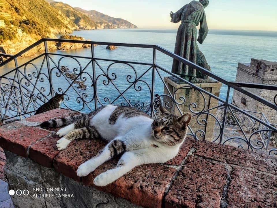 La Rosa Dei Venti Hotel Monterosso al Mare Buitenkant foto