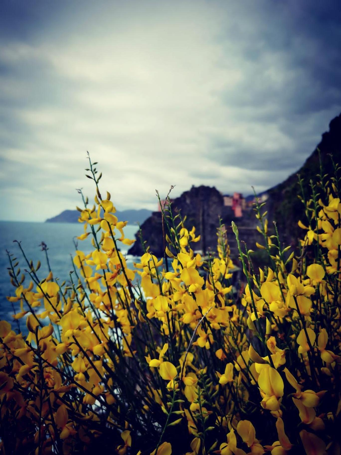 La Rosa Dei Venti Hotel Monterosso al Mare Buitenkant foto